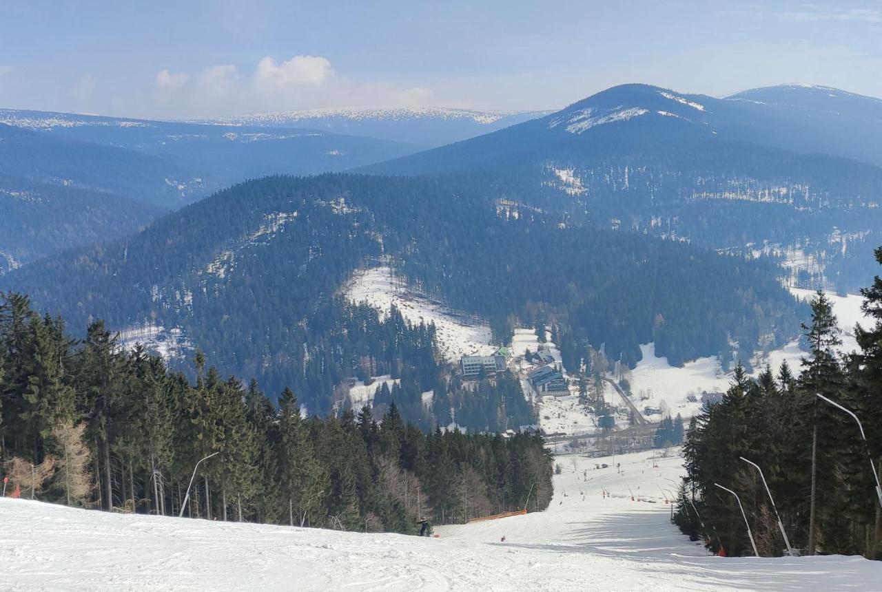 Enjoyharrachov: Sunny Studio with Mountain Views and Entertainment Exterior photo