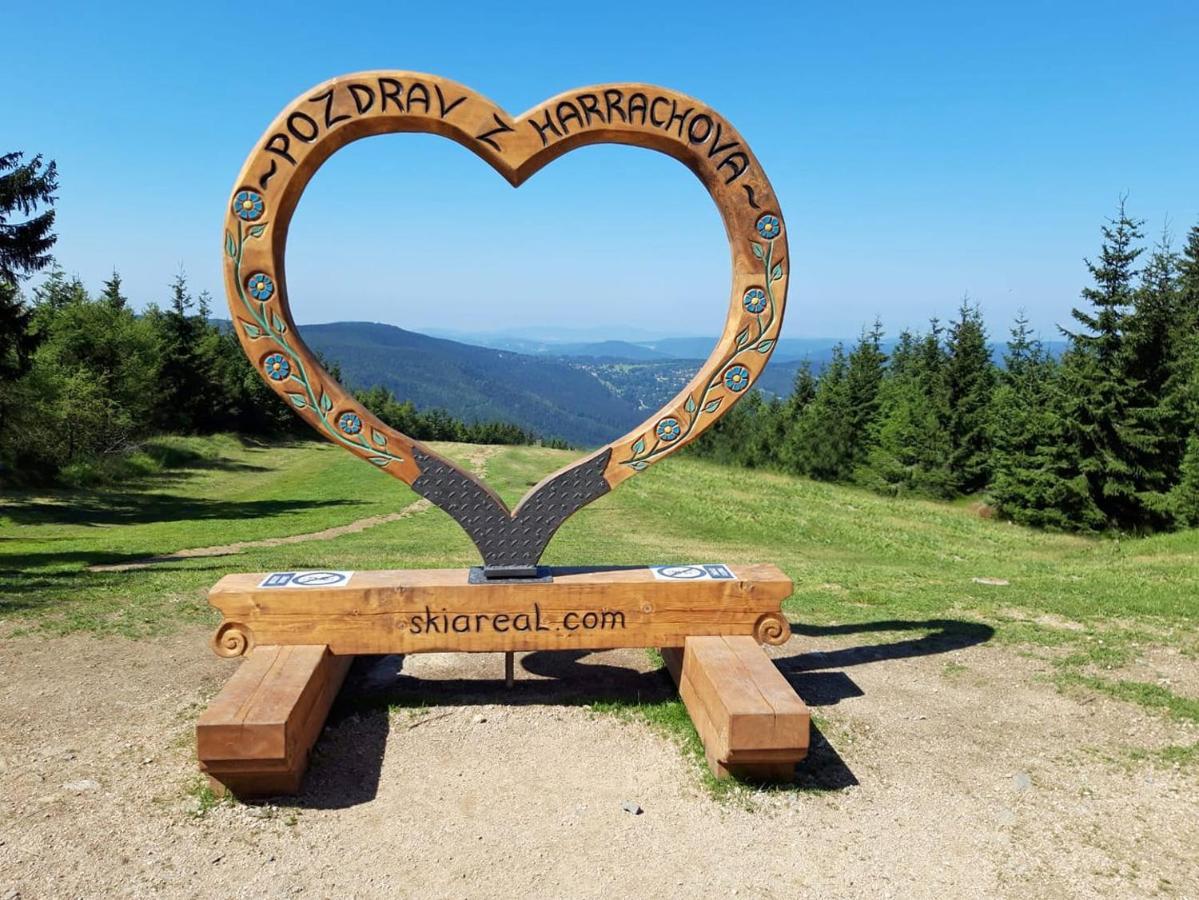 Enjoyharrachov: Sunny Studio with Mountain Views and Entertainment Exterior photo