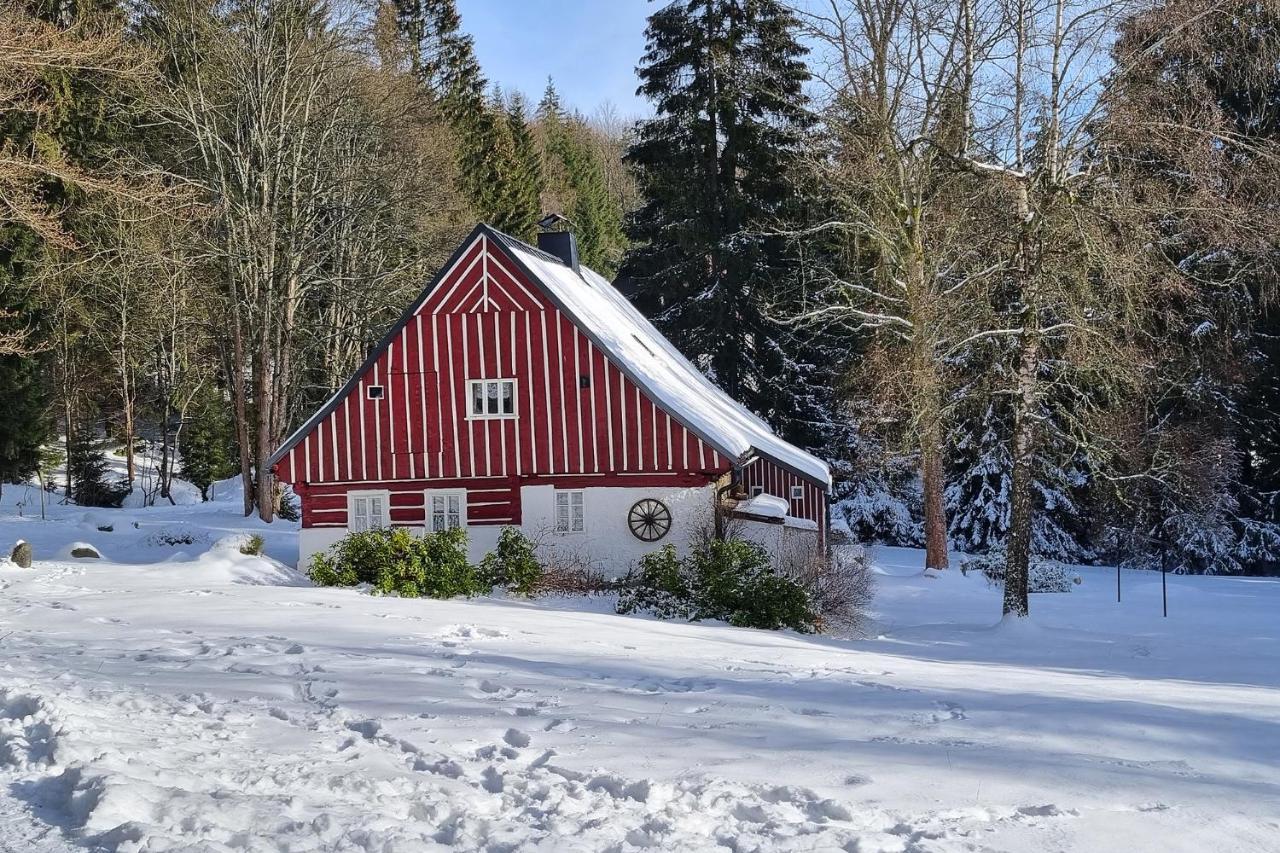 Enjoyharrachov: Sunny Studio with Mountain Views and Entertainment Exterior photo