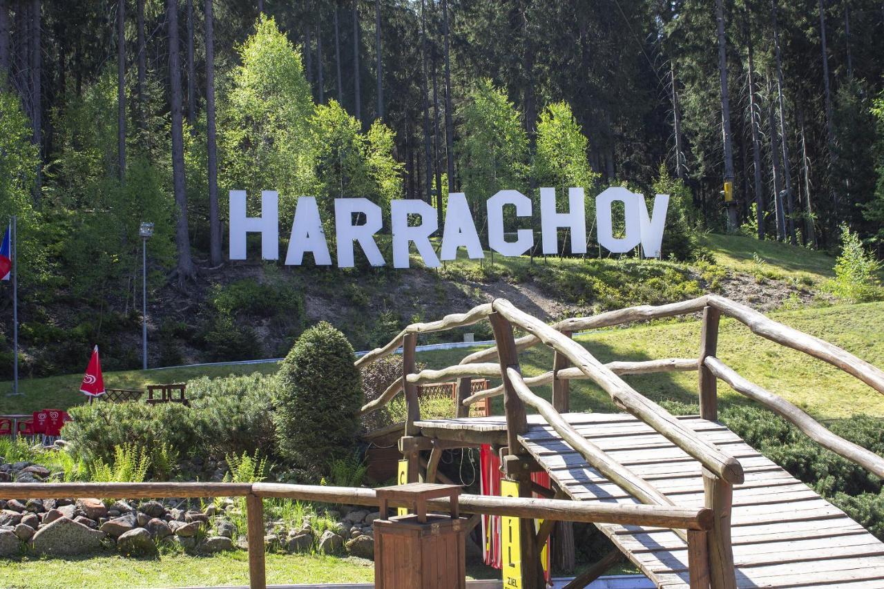 Enjoyharrachov: Sunny Studio with Mountain Views and Entertainment Exterior photo